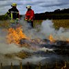 Gemeinsame Ausbildung Vegetationsbrand-Bekämpfung